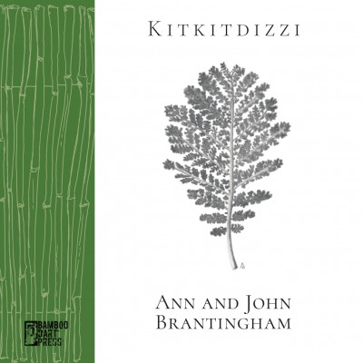 "Kitkitdizzi: A Non-Linear Memoir of the High Sierra" by Ann and John Brantingham