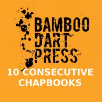 Block Package - 10 Consecutive Chapbooks