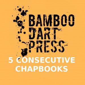 Block Package - 5 Consecutive Chapbooks
